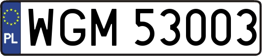 WGM53003