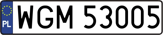 WGM53005