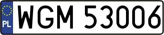 WGM53006