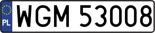WGM53008