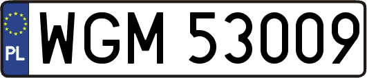 WGM53009