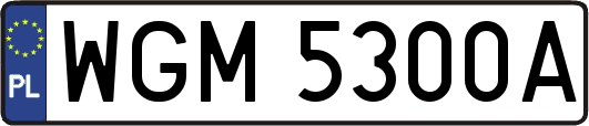 WGM5300A