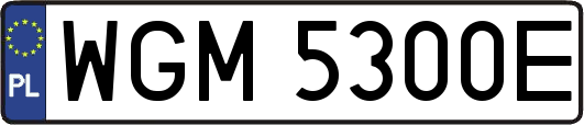 WGM5300E