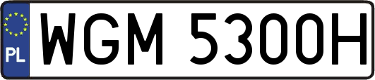 WGM5300H