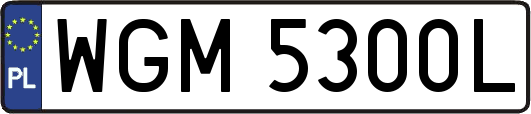 WGM5300L