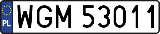 WGM53011