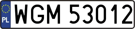 WGM53012