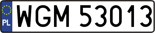 WGM53013