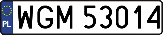 WGM53014