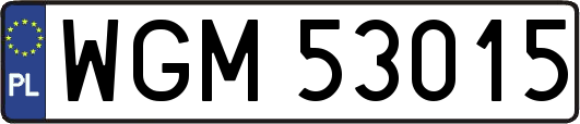 WGM53015