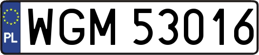 WGM53016