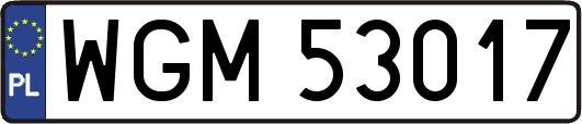WGM53017