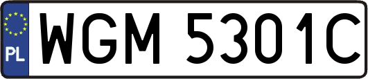 WGM5301C