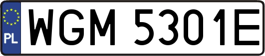 WGM5301E