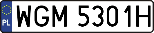 WGM5301H