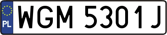 WGM5301J