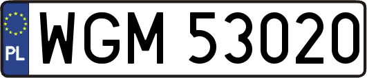 WGM53020