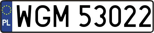 WGM53022