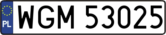 WGM53025