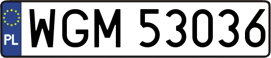 WGM53036