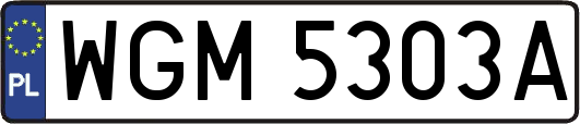 WGM5303A