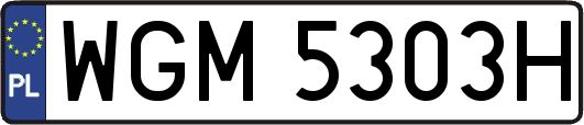WGM5303H