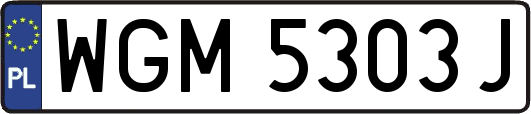 WGM5303J