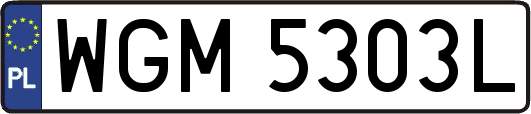 WGM5303L