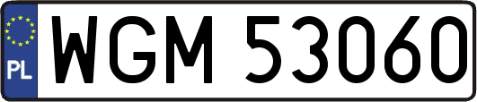 WGM53060
