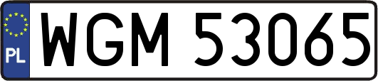 WGM53065