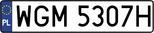 WGM5307H