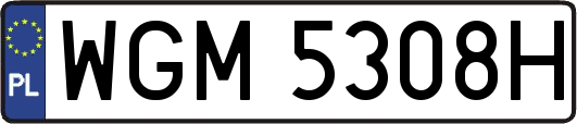 WGM5308H