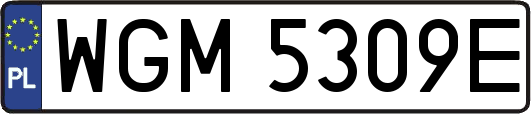 WGM5309E