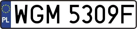 WGM5309F
