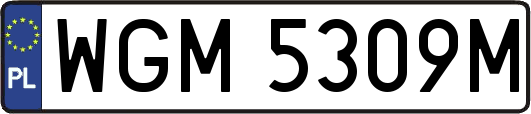 WGM5309M