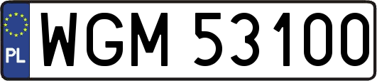 WGM53100