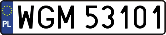 WGM53101