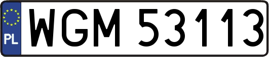 WGM53113