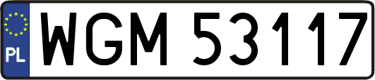WGM53117