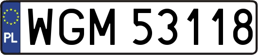 WGM53118