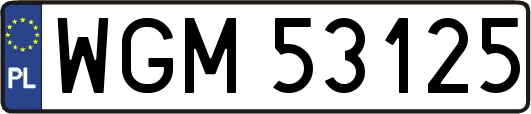 WGM53125