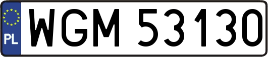 WGM53130