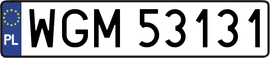 WGM53131