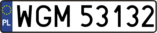 WGM53132