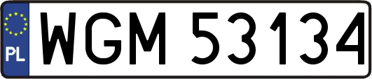 WGM53134
