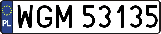 WGM53135