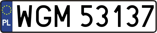 WGM53137