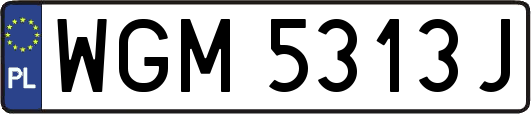 WGM5313J