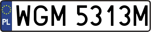 WGM5313M