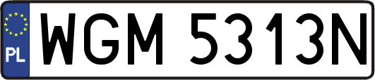 WGM5313N